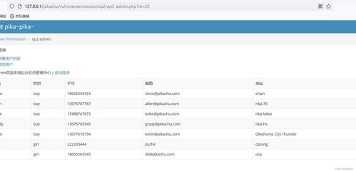 网络安全第八天 文件上传漏洞、目录遍历与PHP反序列化深度解析