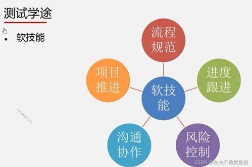 互联网产品测试过程中的网络与信息安全软件开发策略与实践